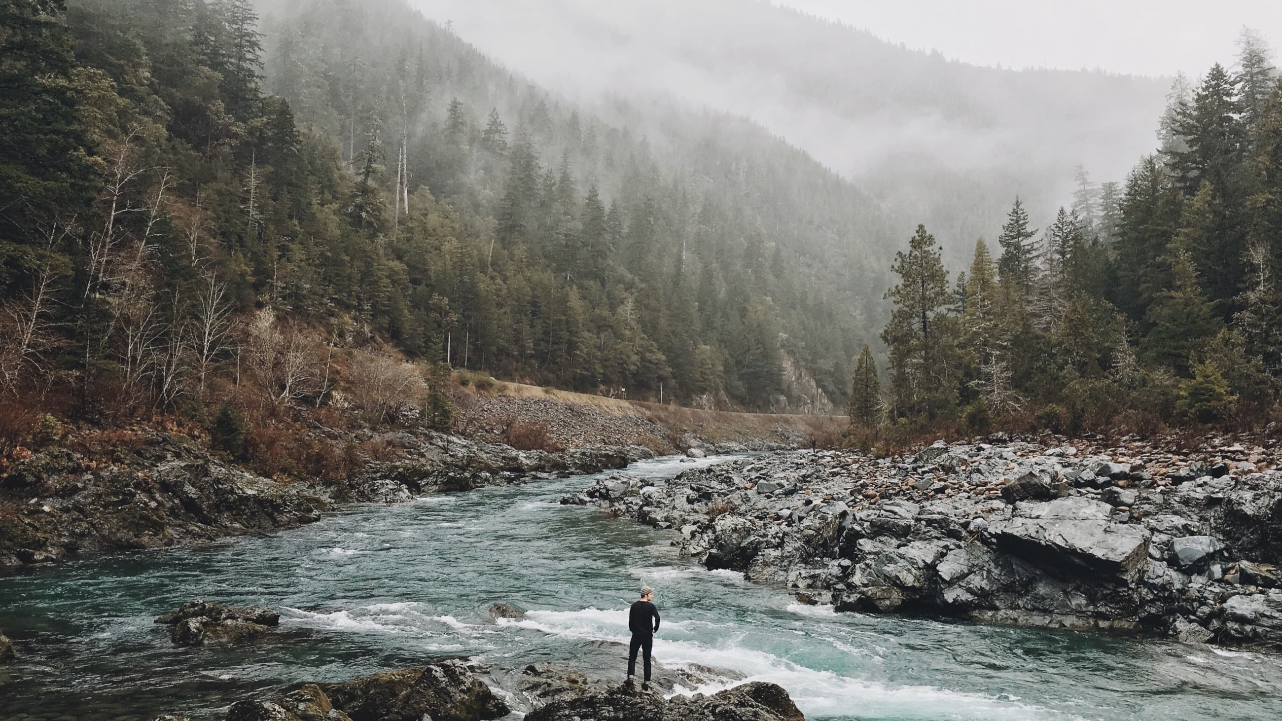 A misty river valley in the Pacific temperate rainforest